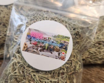 Usnea Old Man's Beard 6 grams