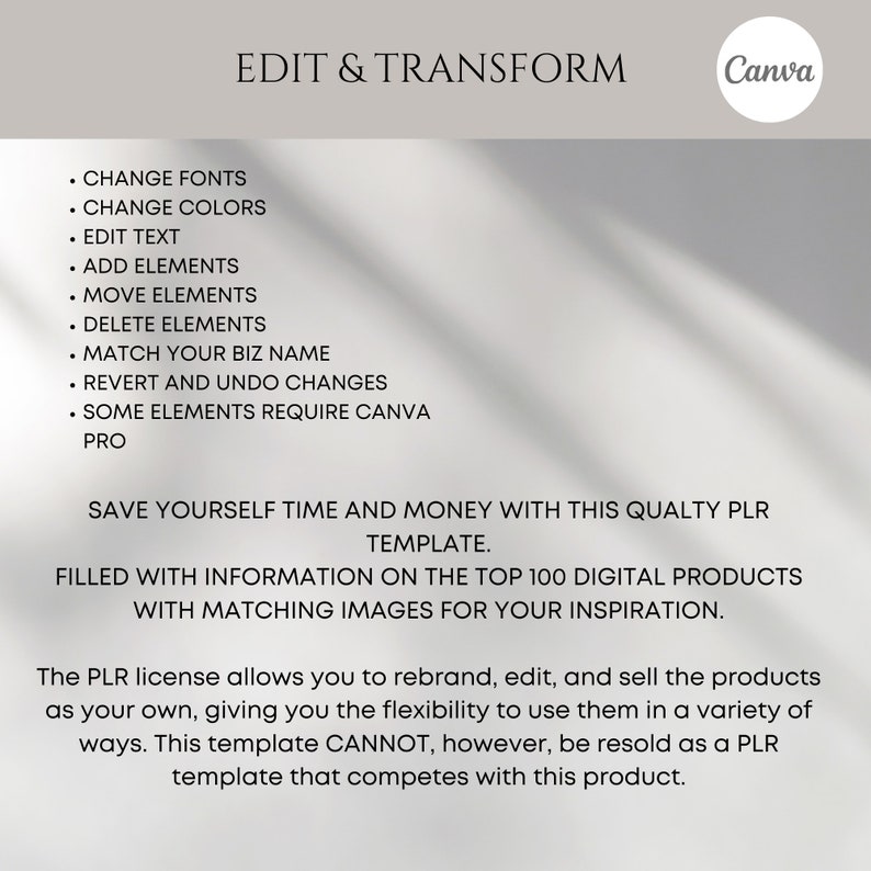 Top 100 Digital Products PLR Ebook, Resell Rights, Canva Template (56 ...