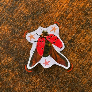 Marienkäfer fliegender Cottagecore süßer Sticker