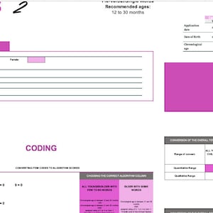 ADOS-2 (Autism Diagnostic Observation Schedule -2) Autoscoring Template (English)