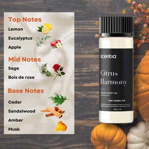 Citrus Harmony Fragrance Oil |  Aromatherapy Diffuser Oil | Fall Inspired Scent | Home Fragrance Oil |