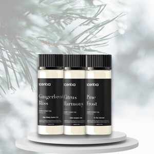 Aromatherapy Fragrance Oil - Winter Collection Scent Oil Kit Home Fragrance for Cold Air Diffusers, Reed Diffuser, Essential Oil Blend