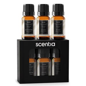 Könnte beinhalten: Eine schwarze Geschenkbox mit sechs bernsteinfarbenen Duftölflaschen mit schwarzen Deckeln. Die Flaschen sind mit der Marke "scentia" und "Hotel Fragrance Collection" beschriftet. Die Box hat das weiße "scentia"-Logo.