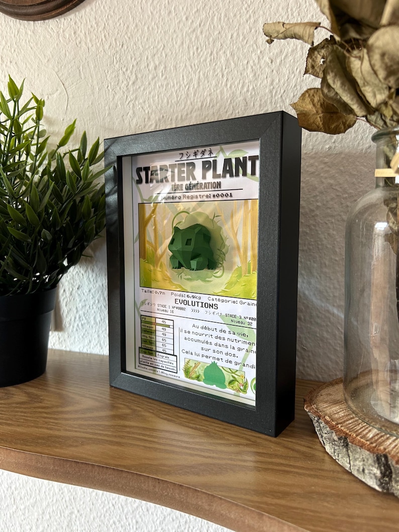 Op de afbeelding: Een ingelijste illustratie van een groen Pokemon-personage genaamd "Starter Plant" met de Japanse tekst "フシギダネ" erboven. De illustratie is geplaatst tegen een achtergrond van een boslandschap. De tekst onder het personage luidt "IDRE GENERATION" en "Numero Registral 80001". De illustratie bevat ook een tabel met de statistieken van het personage en informatie over zijn evolutie.