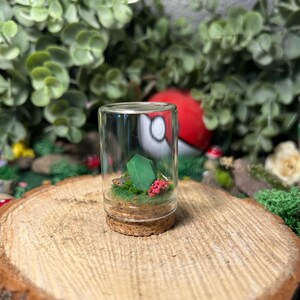 Peut inclure: Un petit terrarium en verre avec une base en liège, contenant un cristal vert, des plantes miniatures et des fleurs rouges. Le terrarium est posé sur une tranche de bois, avec un arrière-plan flou de verdure et une boule rouge et blanche.