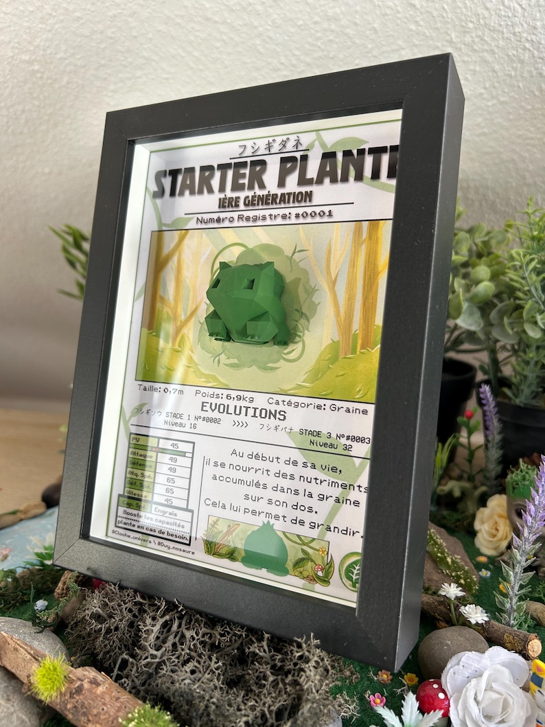 Op de afbeelding: Een ingelijste illustratie van een groen, plant-achtig Pokemon-personage genaamd "Starter Planti". De illustratie bevindt zich in een zwart frame en bevat tekst in het Japans en Frans. De tekst luidt "Starter Planti, 1e Generatie, Registratienummer #0001, Grootte: 0,7 m, Gewicht: 6,9 kg, Categorie: Zaad, Evoluties, Aan het begin van zijn leven voedt het zich met de voedingsstoffen die zijn opgeslagen in het zaad op zijn rug. Dit stelt hem in staat om te groeien."