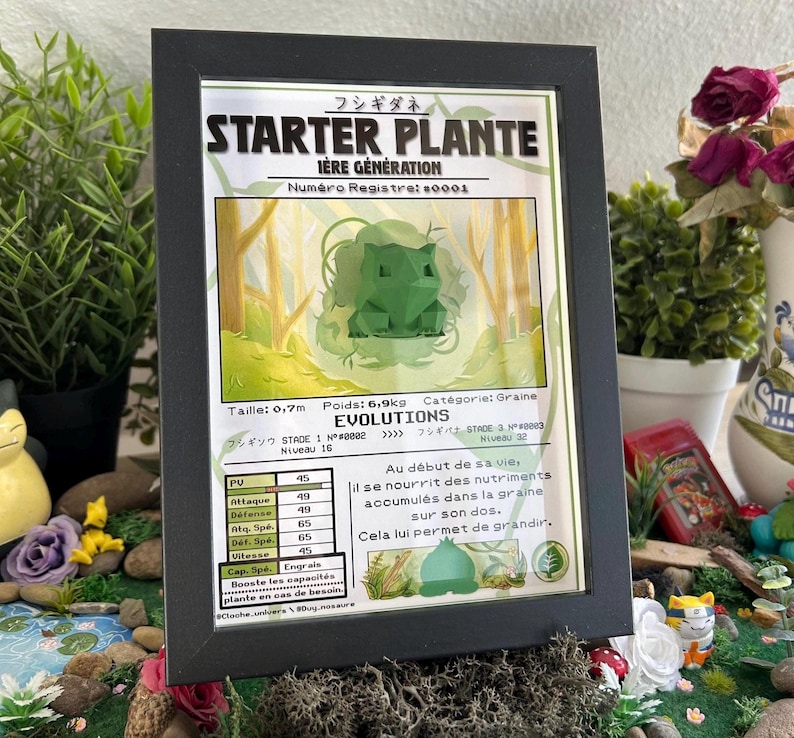 Op de afbeelding: Een ingelijste illustratie van een groen Pokemon-personage genaamd "Starter Plante" met de tekst "I&egrave;re G&eacute;n&eacute;ration" en "Num&eacute;ro Registre: #0001". De illustratie is geplaatst tegen een achtergrond van groene bladeren en bomen. De tekst onder de illustratie beschrijft de evolutiestadia en vaardigheden van het personage.