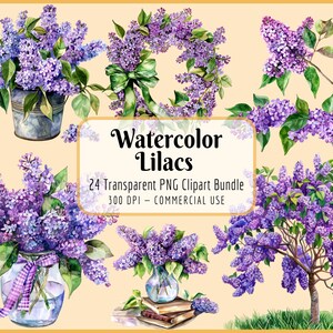 Paquete de imágenes prediseñadas de lilas en acuarela: flores moradas pastel, primavera, elementos florales, ramos, boda, descarga PNG instantánea, uso comercial