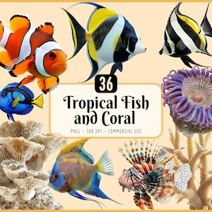 Imágenes prediseñadas de peces tropicales y corales: Arrecife colorido, agua salada, vida marina exótica, submarino, estrella de mar, pez león, pez cirujano (descarga PNG)