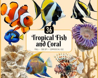 Tropiska fiskar och koraller Clipart: Färgglada rev, saltvatten, exotiskt havsliv, undervattensliv, sjöstjärna, drakfisk, Tang (PNG-nedladdning)
