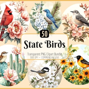 Ensemble de cliparts oiseaux d'État | Aquarelle, 50 États des États-Unis, Amérique du Nord, Fleurs, Éducatif, Téléchargement PNG instantané, Utilisation commerciale
