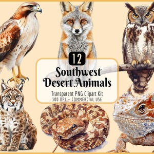 Kit de cliparts animaux du désert | Aquarelle, faune sauvage du sud-ouest des États-Unis, Arizona Californie Mexique Sonora Chihuahua Mojave, lynx roux faucon serpent