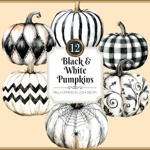 Zwart-witte pompoenen clipartset | Mooie, beschilderde Halloweenpompoenen, elegant, stijlvol, minimalistisch, modern en landelijk, direct te downloaden als PNG