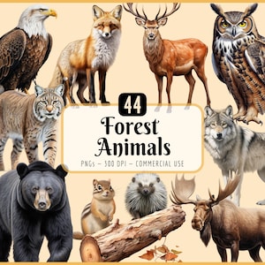 Wald Tiere Clipart: Wald Bäume und Elemente (PNG Download)