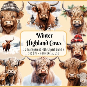 Bundle de clipart vaches Highland hiver I aquarelle, vacances de Noël, maman bébé, ferme campagne enneigée, téléchargement PNG instantané, usage Commercial