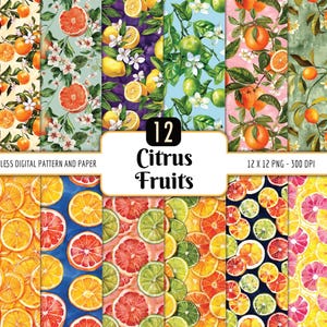 Paquete de patrones sin costuras de frutas cítricas / Paquete de papel digital, acuarela, flores de frutas, rodajas de cítricos, descarga PNG instantánea, uso comercial