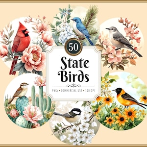 州の鳥のクリップアートバンドル | 水彩、アメリカ合衆国全50州、北アメリカ、花、教育用、即時PNGダウンロード、商用利用可