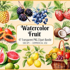 Pacote de Clipart de Frutas em Aquarela | Variedade de Frutas Tropicais, Verão, Cestas de Frutas, Gráficos de Receitas de Menu, Download PNG Instantâneo, Uso Comercial