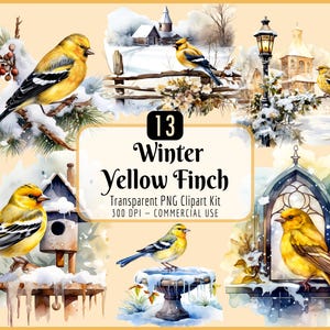Kit de cliparts pinson jaune hiver | Aquarelle, Illustrations d'oiseaux jaunes, Nichoir PNG, Images d'oiseaux, Éphémères d'oiseaux, Neige, Glace, Pommes de pin