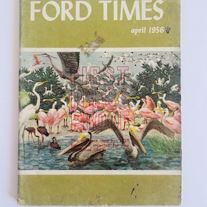 May include: A set of three ceramic mugs with a speckled, matte finish. The mugs are in shades of cream, light gray, and dark gray. Each mug has a simple, minimalist design, perfect for coffee or tea.