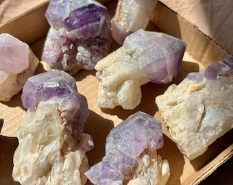 Toadstool Pocket Nigerian Amethyst Mushroom Scepter Raw Crystal Specimen • Intuitive Pick • Wholesale Pricing!
