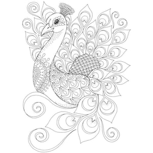 Peacock 10 coloring pages instant download