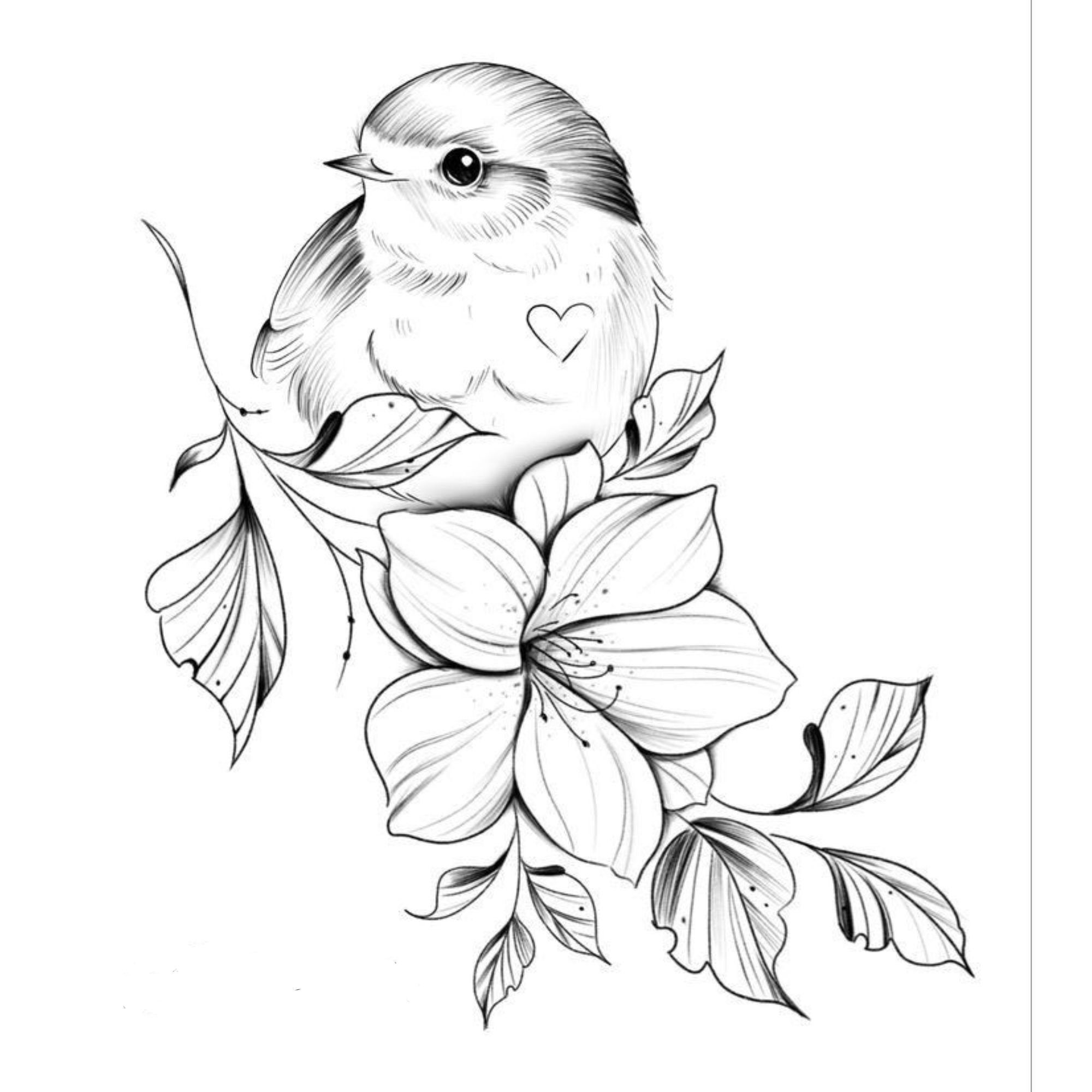 Cute Baby Animal 15 Coloring Pages Instant Download - Etsy