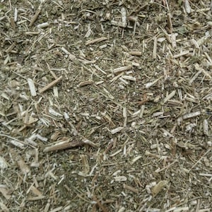 Boneset