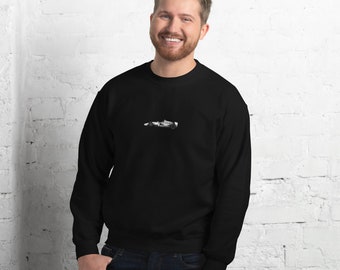 Formula 1 Crew Neck Jumper/Sweatshirt - Christmas/Birthday Gift, High Quality Material, Multiple Colours