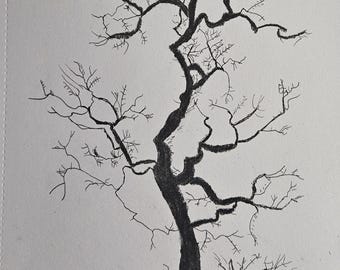 Branches of life