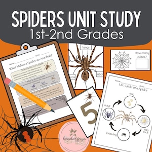 Estudio de la unidad sobre la araña / Lecciones y actividades sobre la araña (1.º y 2.º grado) / Educación en casa: ciencias, alfabetización, matemáticas y manualidades