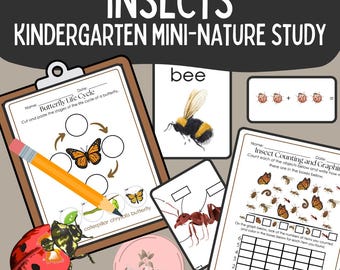 Unidade sobre Insetos | Estudo da Natureza para o Jardim de Infância
