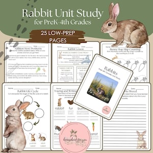Könnte beinhalten: Ein Satz druckbarer Arbeitsblätter für eine Kaninchen-Einheit für die Vorschule bis zur vierten Klasse. Die Arbeitsblätter beinhalten Aktivitäten wie Additionsgeschichten, Nachzeichnen und Schreiben, Kaninchenhüpfen-Zählen und einen Kaninchen-Lebenszyklus.