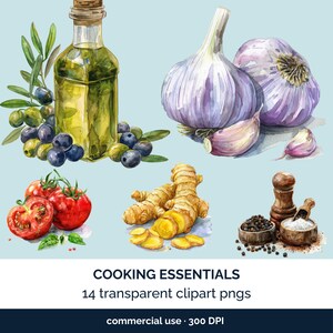Elementos básicos de cocina en acuarela. Aceite de oliva, sal, pimienta, ajo, albahaca, apio, patata, tomate, álbumes de recortes de hierbas, diario basura, fabricación de tarjetas.