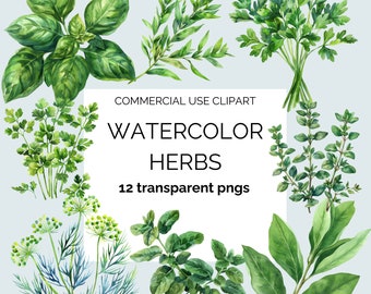 Watercolor herbs, basil, cilantro, parsley, oregano, tarragon, sage, bay leaf transparent png for scrapbooking, junk journal, card making