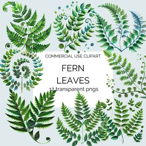 feuilles de fougère, papier quilling, printemps, décoration de chambre d'enfant, png transparent, scrapbooking, fabrication de cartes, journal indésirable, clipart, floral, verdure