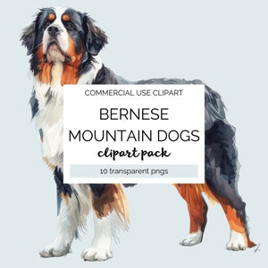 Berner Sennenhund Aquarell Clipart 10 transparente Png-Dateien