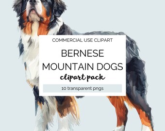 Bernese Mountain Dog Watercolour Clipart 10 transparent png files