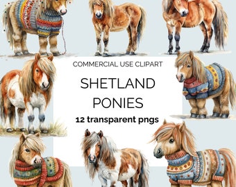 Shetland ponies. Ponies in sweaters. Pretty pony clipart.