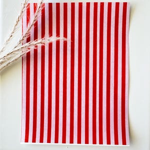 May include: A rectangular sheet of paper featuring a repeating vertical stripe pattern in alternating shades of bright red and soft light pink. The paper is positioned next to a small cluster of dried, feathery, light-colored botanical stems.