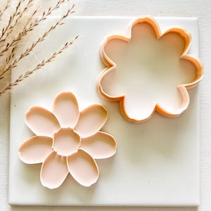 May include: Two light peach-colored flower-shaped cookie cutters. One cutter is a solid flower shape, and the other is an outline of a flower. The cutters are on a white surface, with a few sprigs of dried grass in the background.