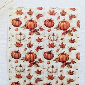 May include: A seamless pattern featuring orange and white pumpkins with brown stems and fall leaves on a checkered background.