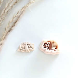 May include: Two armadillo-shaped embellishments in shades of beige and brown. One is a simple outline, the other has a layered design. The items are set against a white background, with a few sprigs of dried grass in the upper left corner.