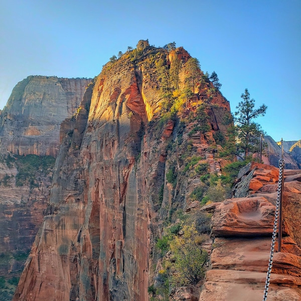 Angels Landing Zion National Park Utaj Digital Download