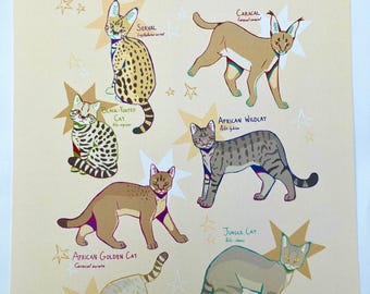 Impressão de pequenos gatos africanos