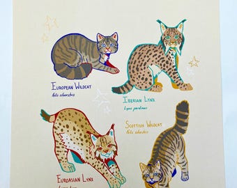 Impressão de pequenos gatos europeus