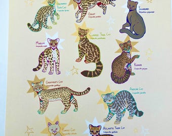 Impressão de pequenos felinos sul-americanos