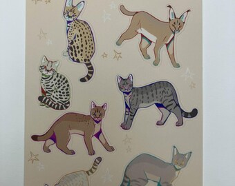 Puede incluir: Una hoja de pegatinas con ilustraciones de varios pequeños gatos salvajes africanos, incluyendo servales y caracales. La hoja tiene el texto "African Small Wild Cats" en la parte superior. Los dibujos están sobre un fondo beige claro con estrellas.