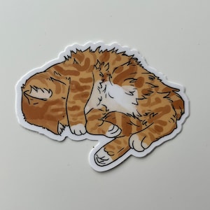 Orange tabby cat sticker, vinyl matte sticker, waterproof dishwasher proof sticker, kitty sticker, laptop decal