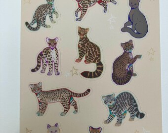 Puede incluir: Una hoja de pegatinas con ilustraciones de pequeños gatos sudamericanos. Las pegatinas están sobre un fondo beige con estrellas. Los gatos están representados en varias poses y colores, incluyendo marrón, gris y negro.
